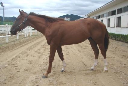 �����ǹ� ����