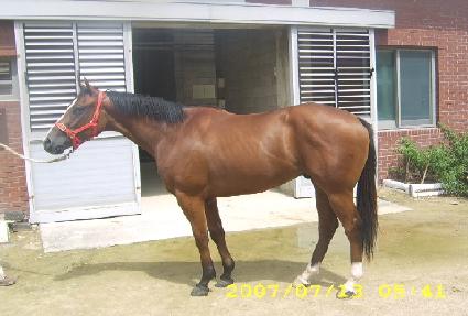 ���¿¼����� ����