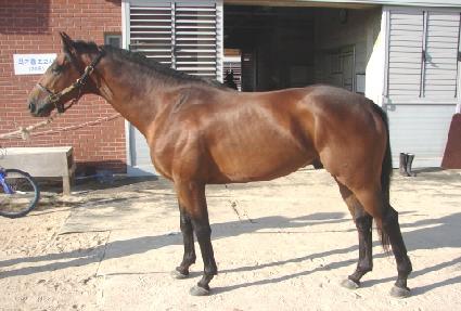 �޷γװ� ����