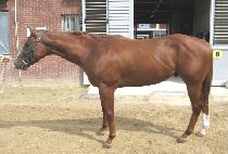 ���밡�� (SNOW GOD) ����