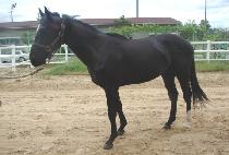 ũ��������Ʈ (CREATE HIT) ����