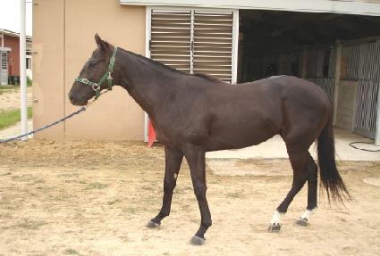 ����ϸ� ����