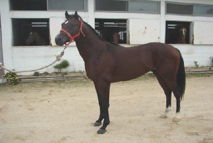 �ƽ�����ũ���� ����