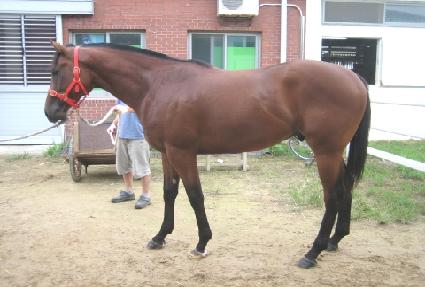 �������� ����