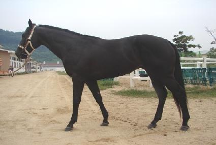 ǻ������� ����