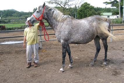 Ŀ�ȶ� ����