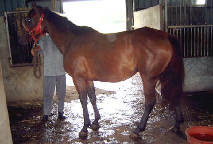 ���̹��� ����