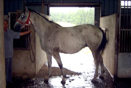 ����Ŭ��ũ ����