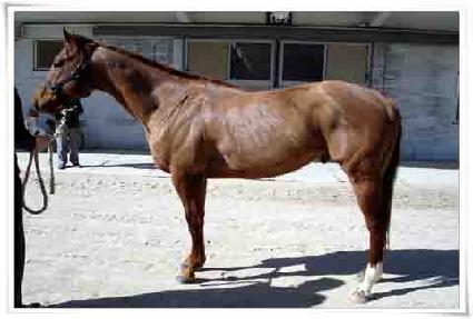 ž�ö�� ����