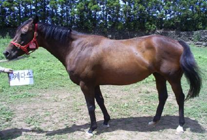 ���ٵ� ����