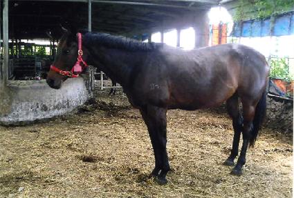 �����Ϳ���Ʈ ����