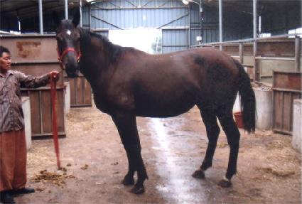 ���þȴ��� ����