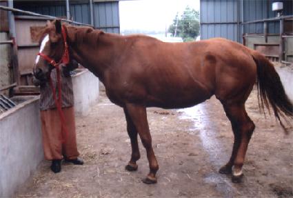 ��ī�� ����