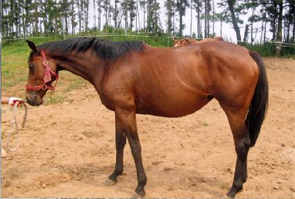 ����Ƽ���ũ ����