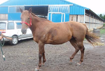 �������ڵ� ����