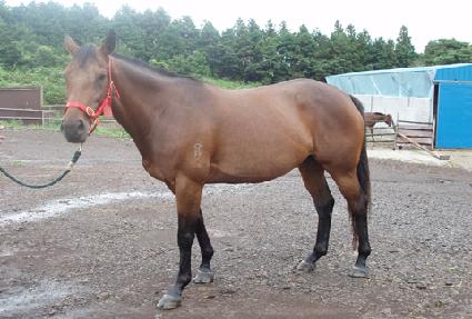 �Ӷ��̾�� ����