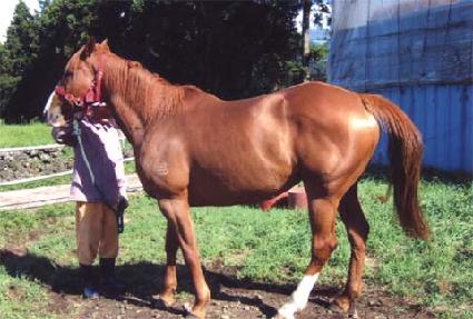 ������ũ ����