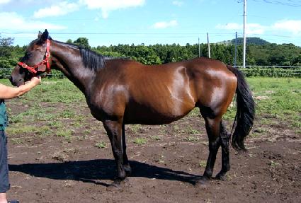 �ر׷��̽� ����