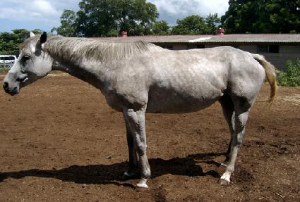 ��ũ��Ʈ ����