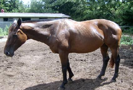 �����ν�Ƽ ����