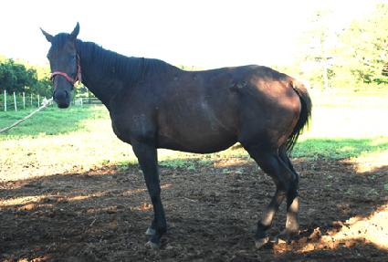 ����ī����� ����