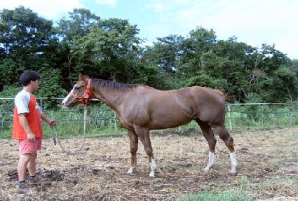 �����ص���̽� ����