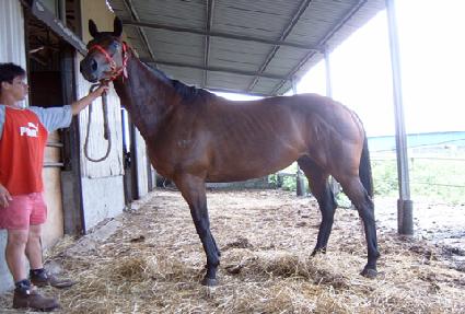 �ε����Ʈ ����