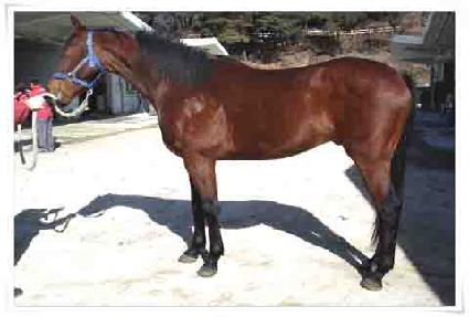 �������� ����