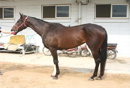 �۽�Ʈ��� ����