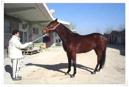 �긱����Ʈ����Ʈ ����