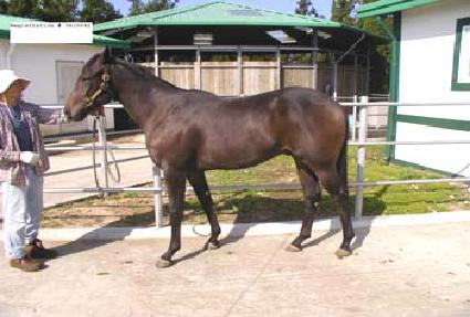 ��ĸƾ ����