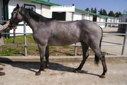 ��Ÿ ����