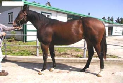 ��ȣ������ ����