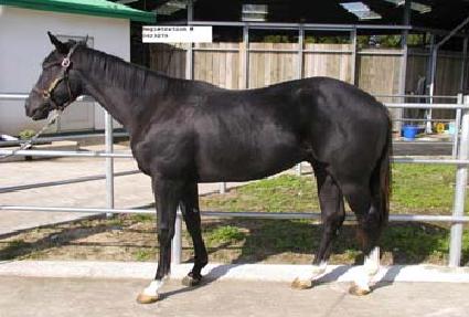 ���׷���Ʈĭ ����