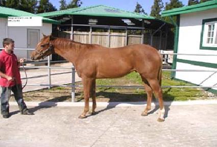 ����Ʈ�� ����