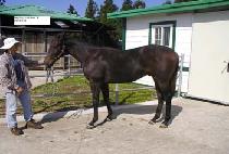 �����ڽ� (RADIO BOX) ����