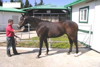 �⵿�� ����