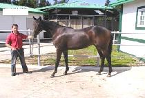 ���� (ILCHUK) ����