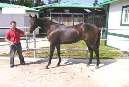 ���� ����