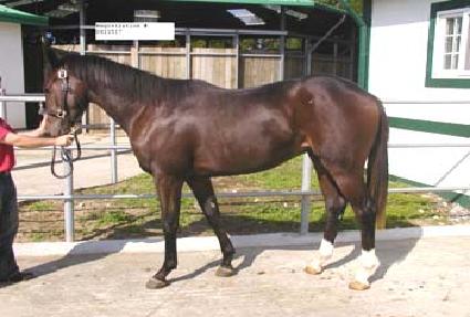 �帲��Ʈ ����