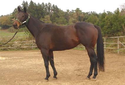 ķ�۽��� ����