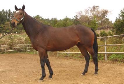 ������� ����