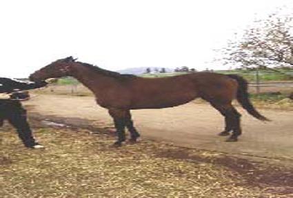 ���Ϸ���Ʈ��Ʈ ����