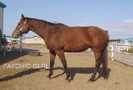 ����ű�� ����