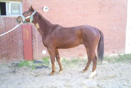 ��Ű���� ����