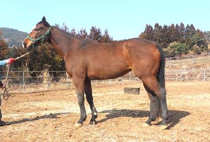 �����϶� ����