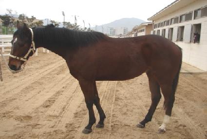 ��ť�� ����