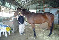 �ǹ��ں� (SILVER COVE) ����