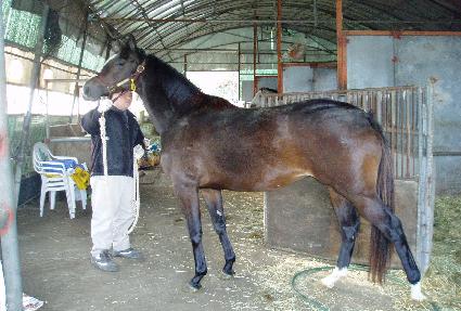 �쵥�� ����