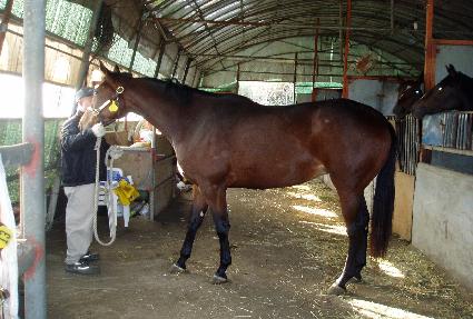 ���̴����� ����